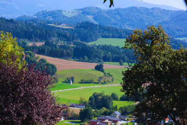 Grüne Landschaft in Österreich