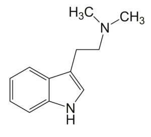 Ayahuasca Drink