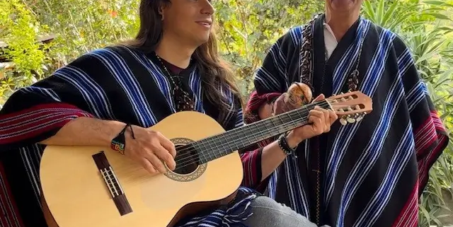 Guitar