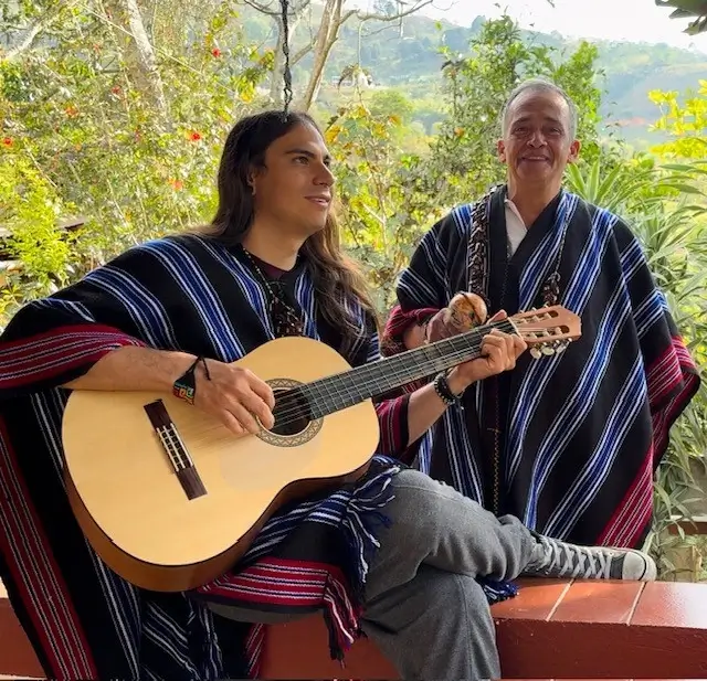 Guitar